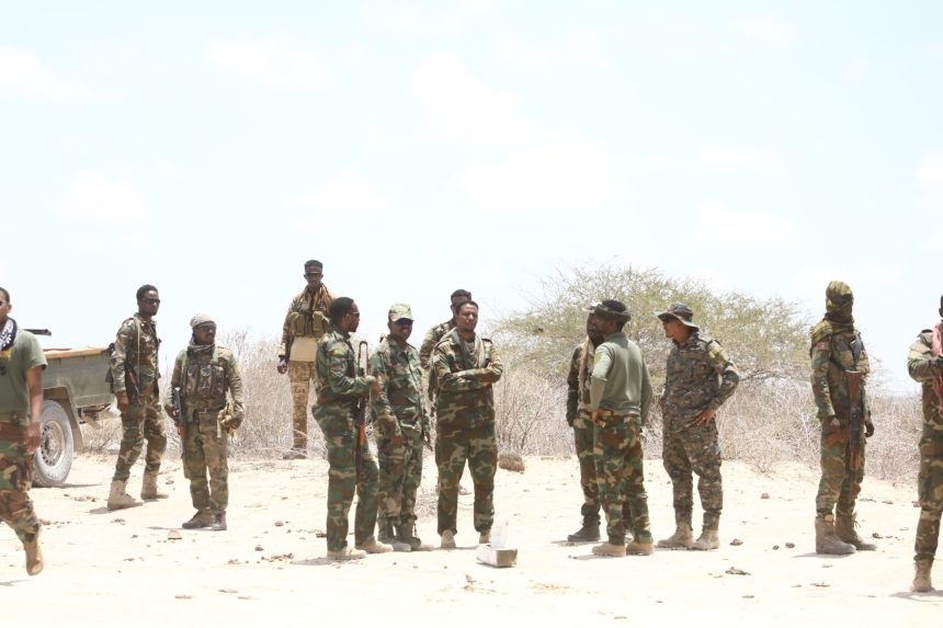 Hawlgal ka socdo duleedka Degmada Warsheekh.jpg